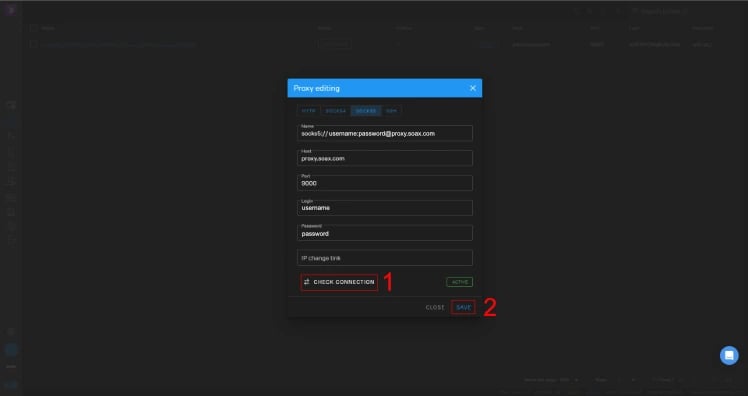 Dolphin Anty check connection