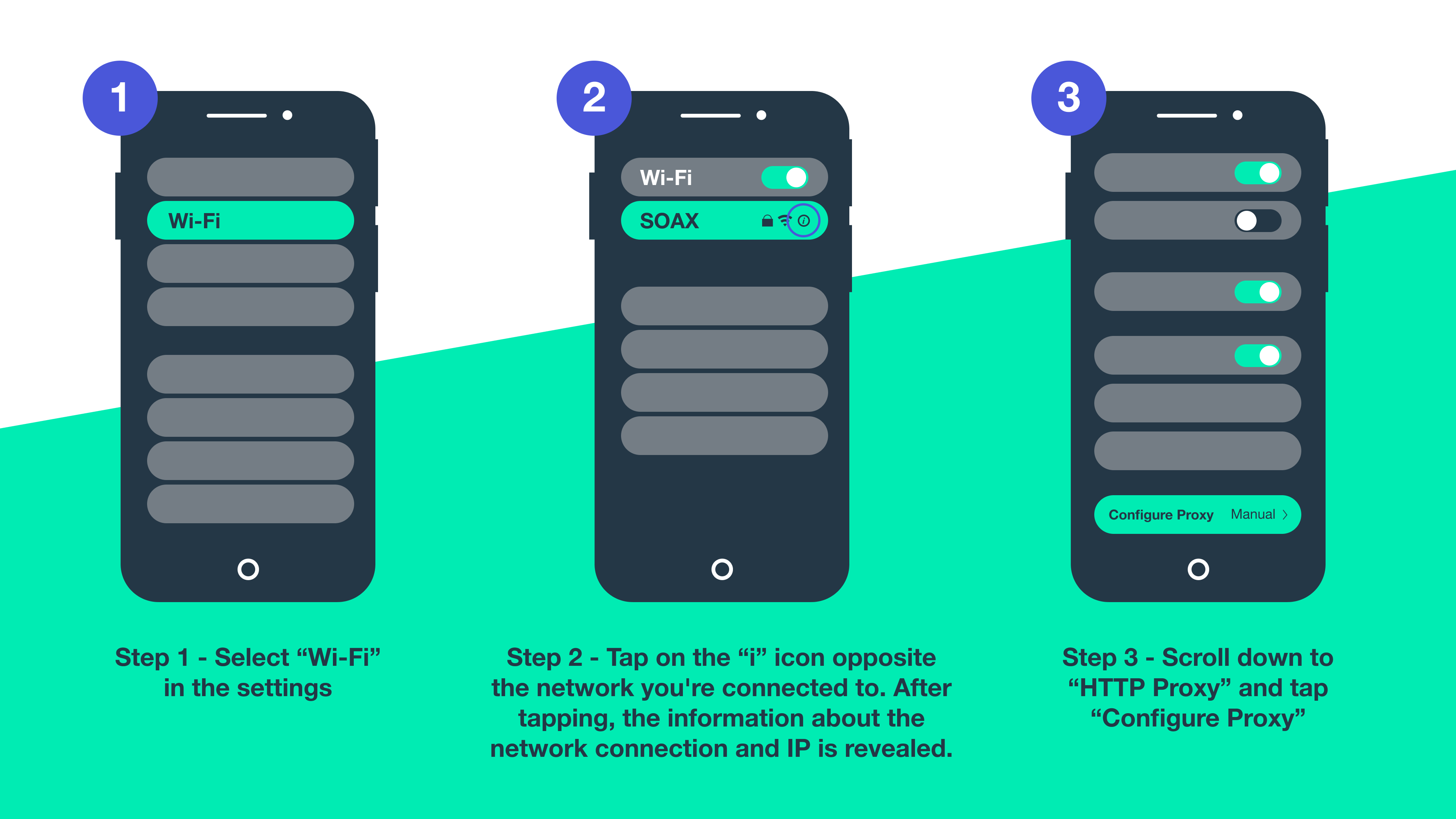 Turn Off Proxy on iPhone or iPad